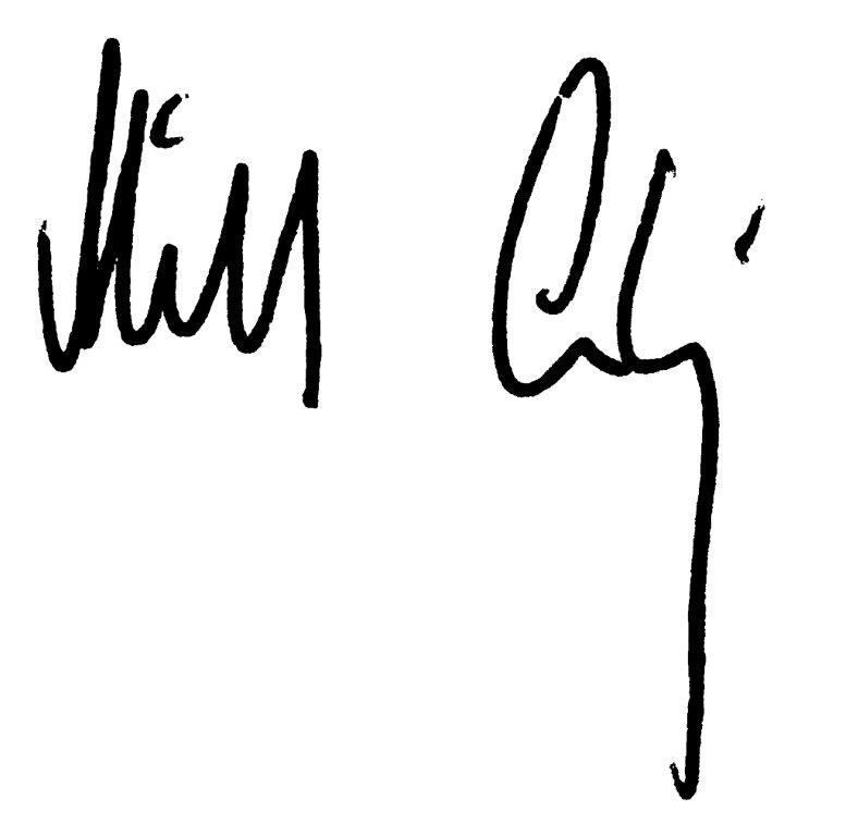 Michael Ludwig Unterschrift https://www.schmelz-turnier.at/wp-content/uploads/2023/07/Michael-Ludwig-Unterschrift.jpg